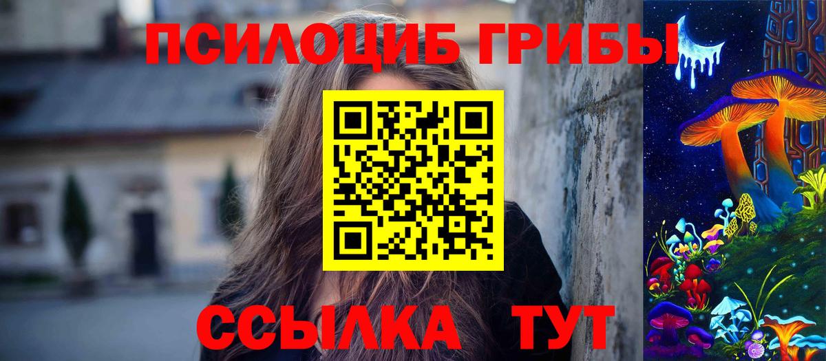 где купить наркотик  Псилоцибиновые грибы Psilocybe  Вход с VPN  Омск 